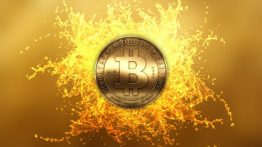 بیت کوین به عنوان یک ذخیره ارزش و طلای دیجیتال است