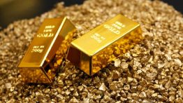 افزایش تقاضاها برای استیبل کوین‌های دارای پشتوانه طلا