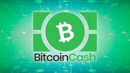 هاوینگ بیت کوین کش رخ داد!